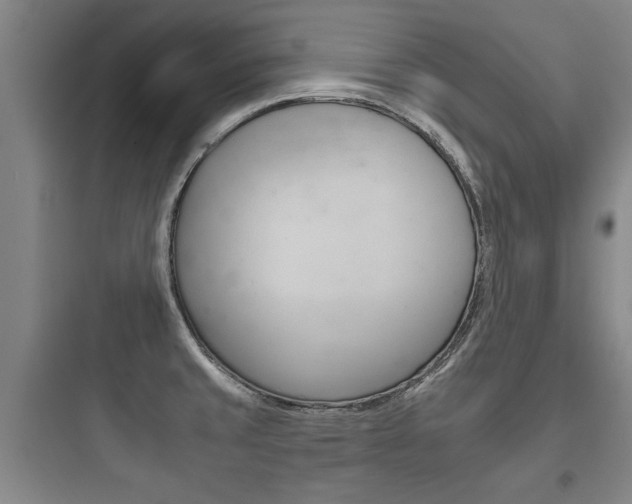 X0000097951429200803241008