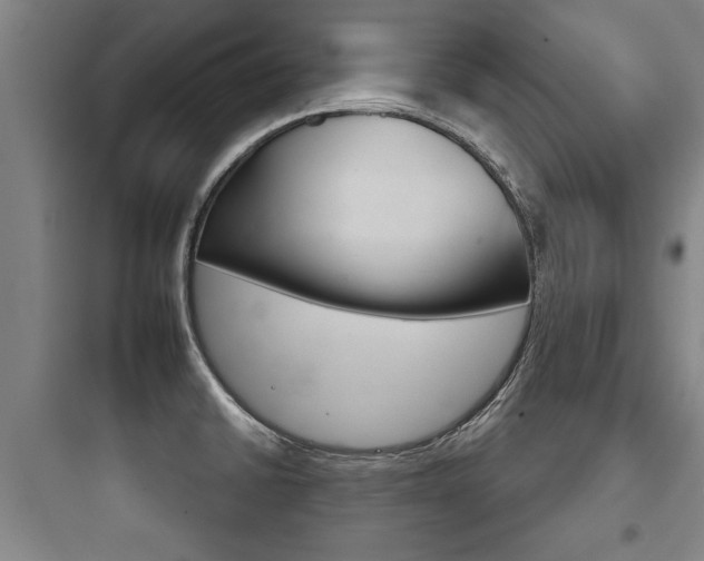 X0000097951430200803241008