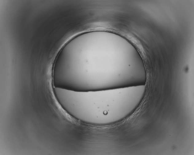 X0000097951431200803241008