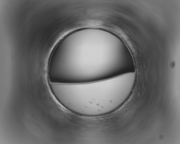 X0000097951432200803241008