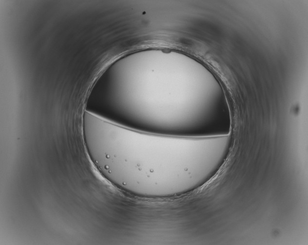 X0000097951433200803241008