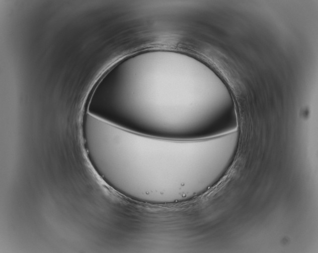 X0000097951434200803241008