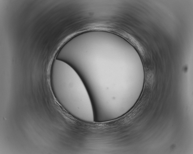 X0000097951435200803241008