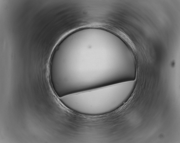 X0000097951436200803241008