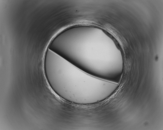 X0000097951437200803241008