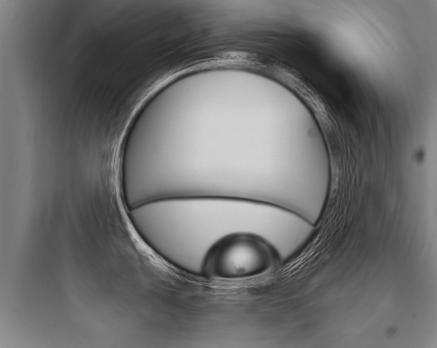 X0000097951439200803241008