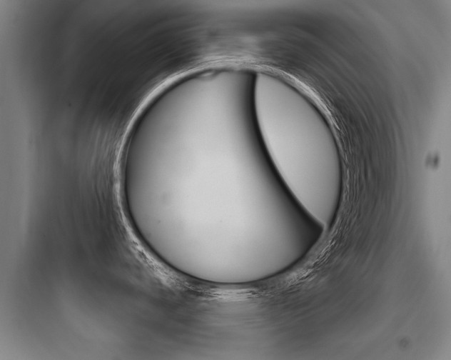 X0000097951440200803241008