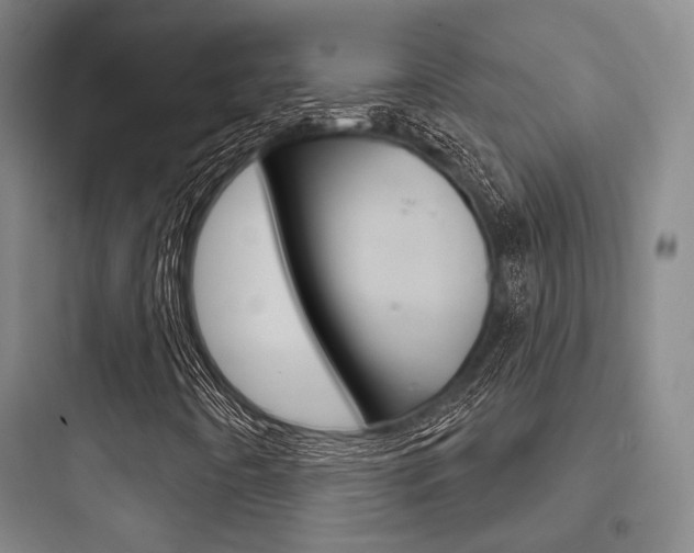 X0000097951442200803241008