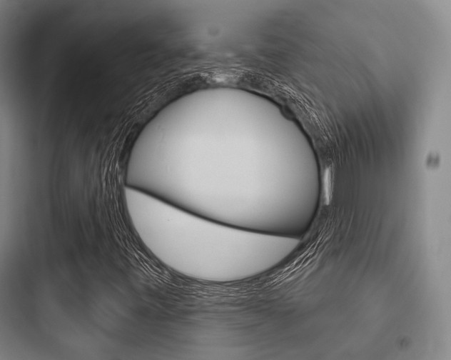 X0000097951443200803241008