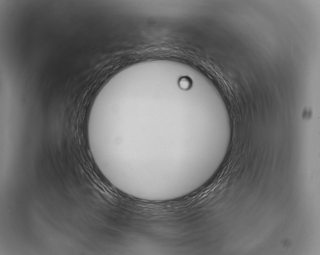 X0000097951444200803241008
