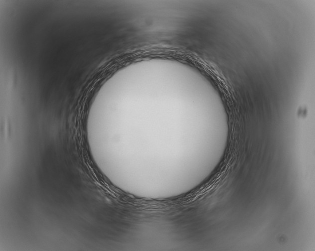 X0000097951445200803241008