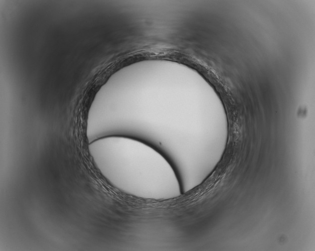 X0000097951447200803241008