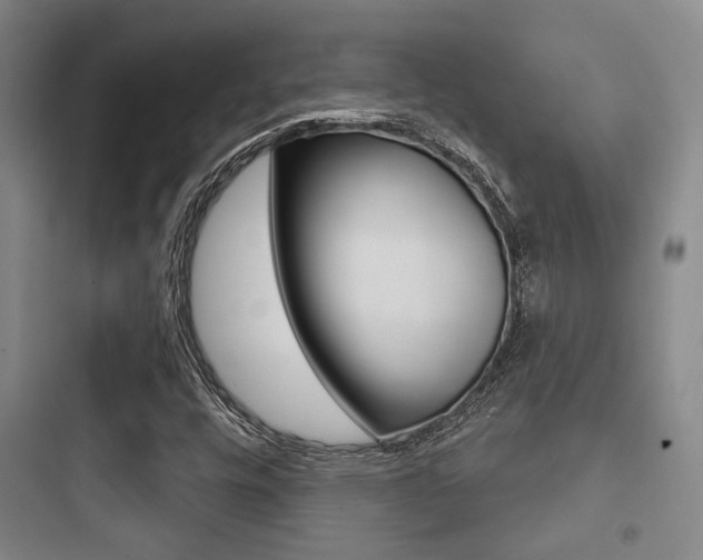 X0000097951448200803241008