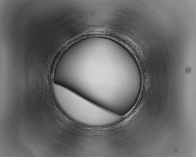 X0000097951449200803241008