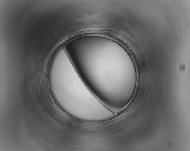X0000097951450200803241008