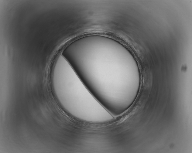 X0000097951453200803241007