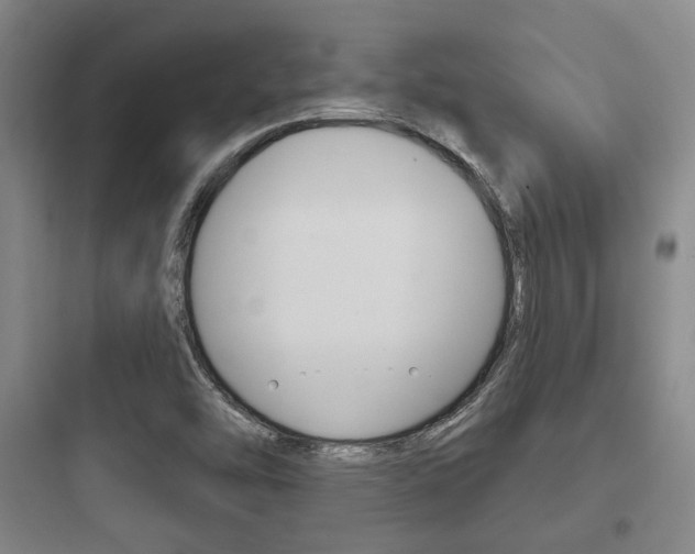 X0000097951454200803241007