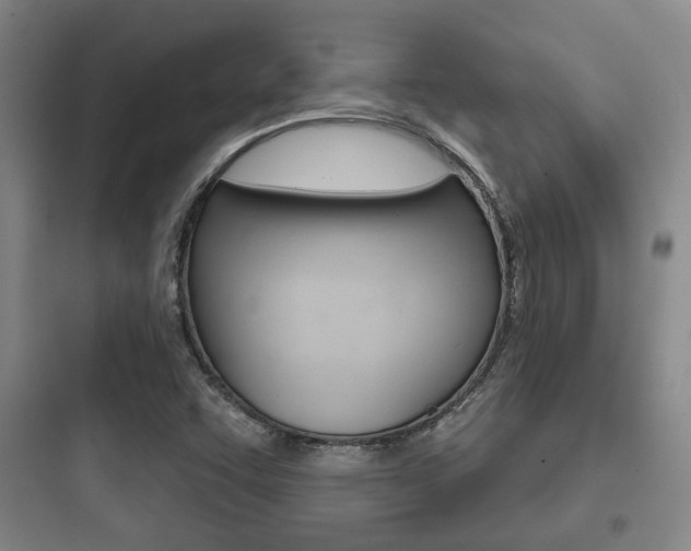 X0000097951455200803241007