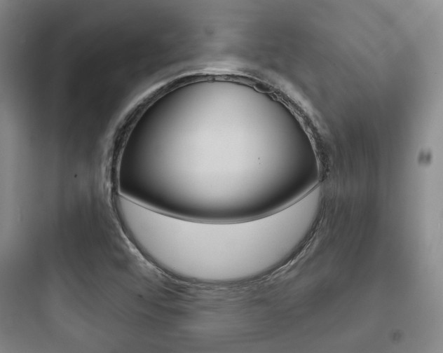 X0000097951456200803241007