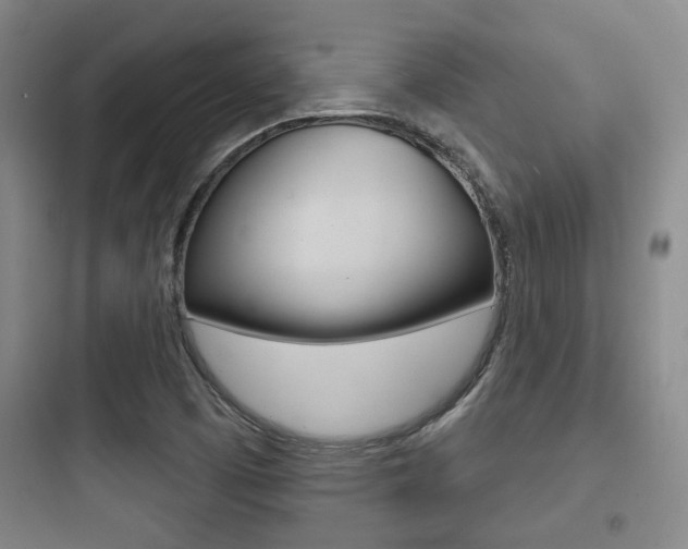 X0000097951457200803241007