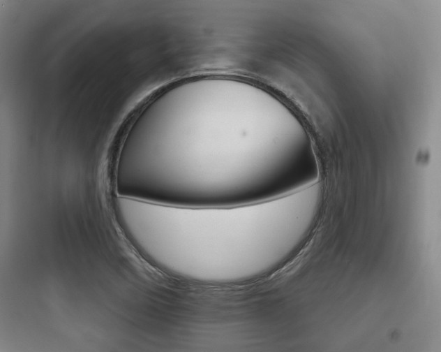 X0000097951458200803241007