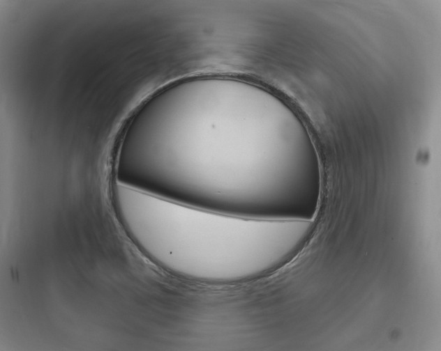 X0000097951459200803241007