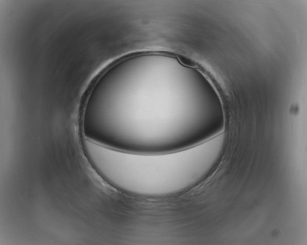 X0000097951460200803241007