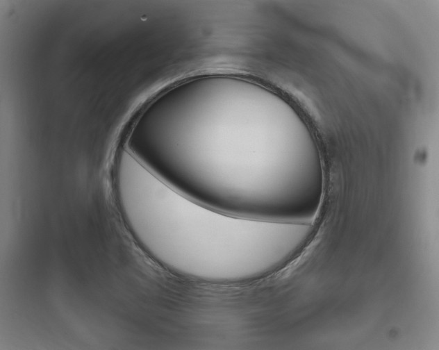 X0000097951461200803241007