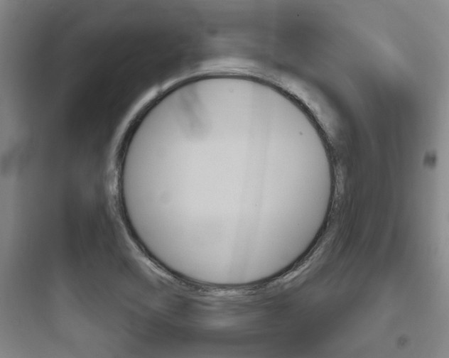 X0000097951462200803241007