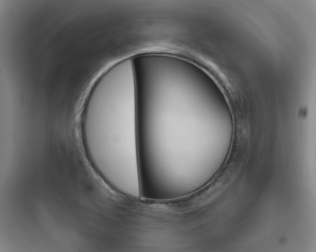 X0000097951463200803241007