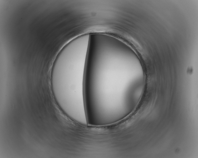 X0000097951465200803241007