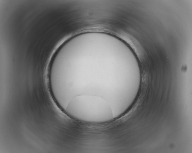 X0000097951466200803241007