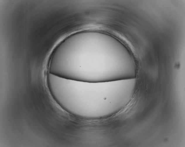 X0000097951467200803241007