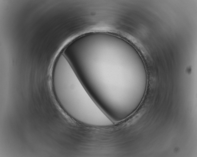 X0000097951469200803241007