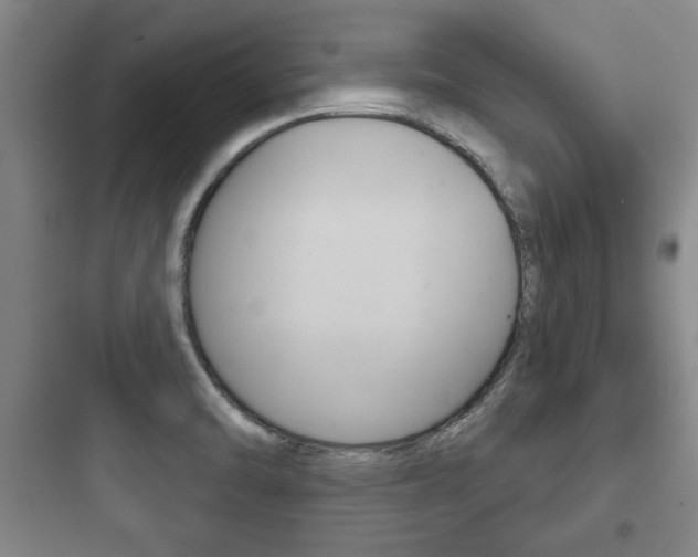 X0000097951470200803241007