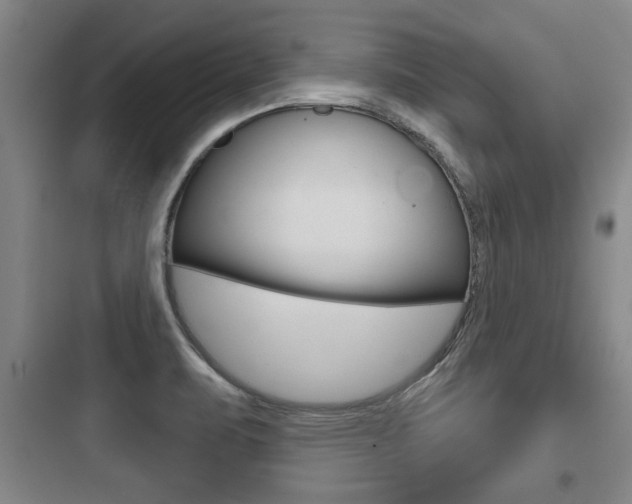 X0000097951471200803241007