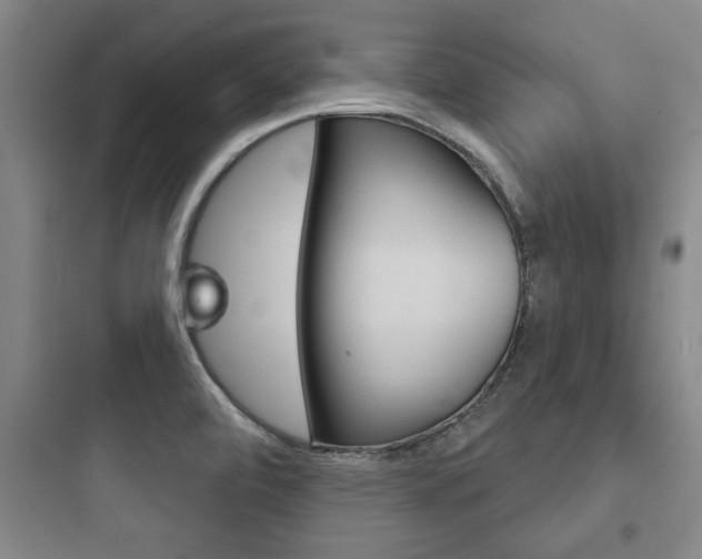 X0000097951472200803241007