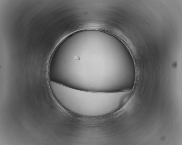 X0000097951473200803241007