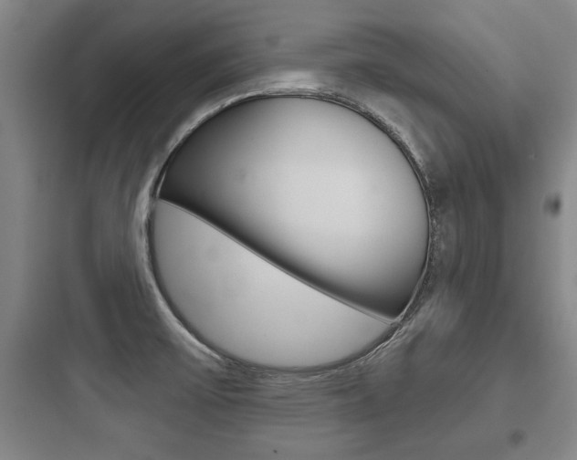 X0000097951475200803241007