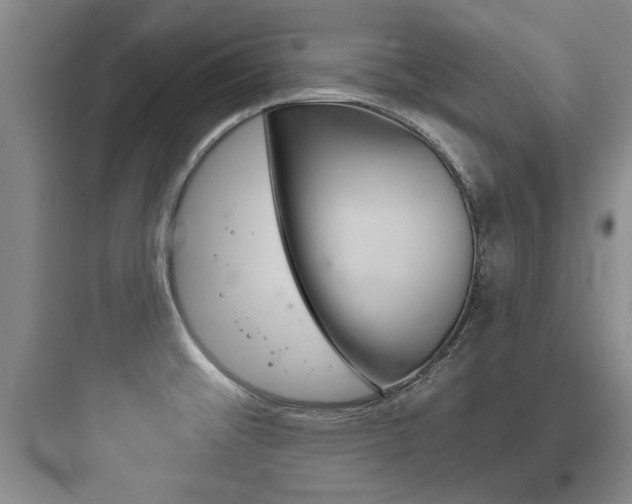 X0000097951476200803241007