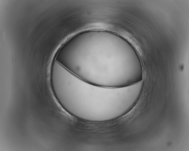 X0000097951477200803241007