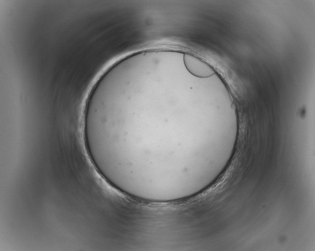 X0000097951478200803241007