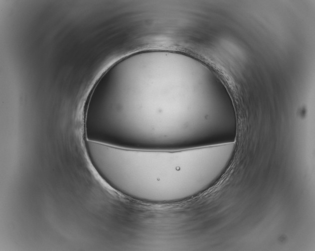 X0000097951479200803241007