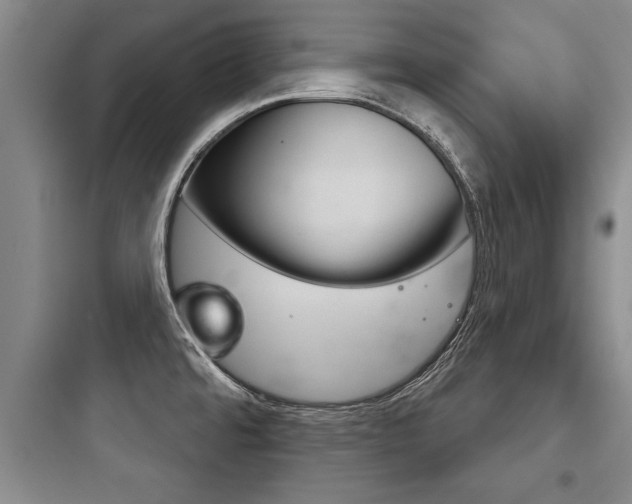 X0000097951480200803241007