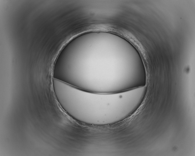 X0000097951481200803241007