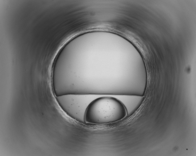 X0000097951482200803241007