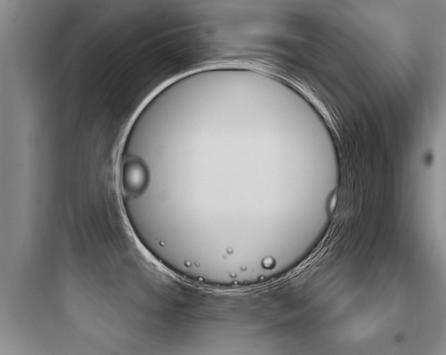 X0000097951484200803241007