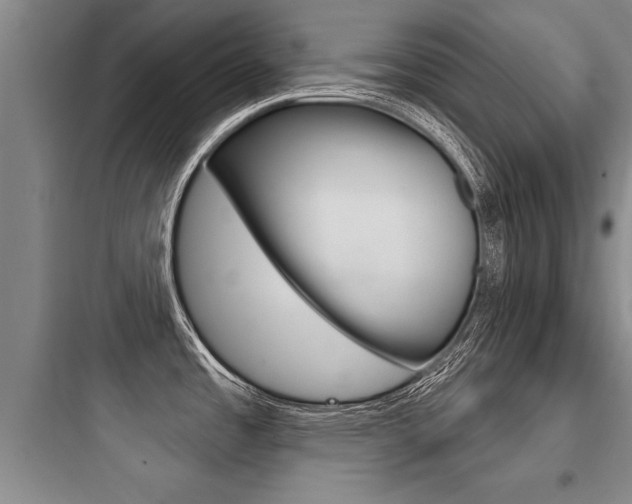 X0000097951485200803241007