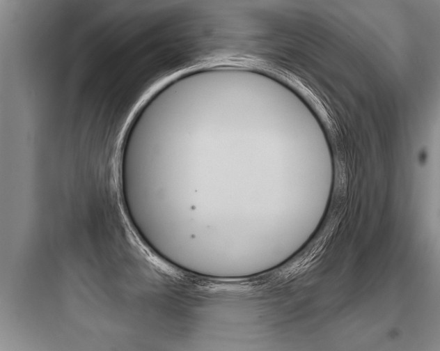 X0000097951486200803241007