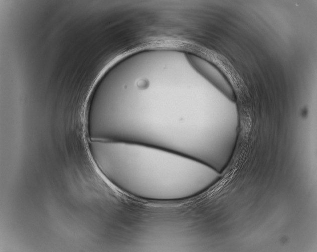 X0000097951487200803241007